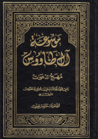 موسوعة_آل_طاووس_ج13_مهج_الدعوات_ومنهج_العنايات_السيد_رضي.pdf